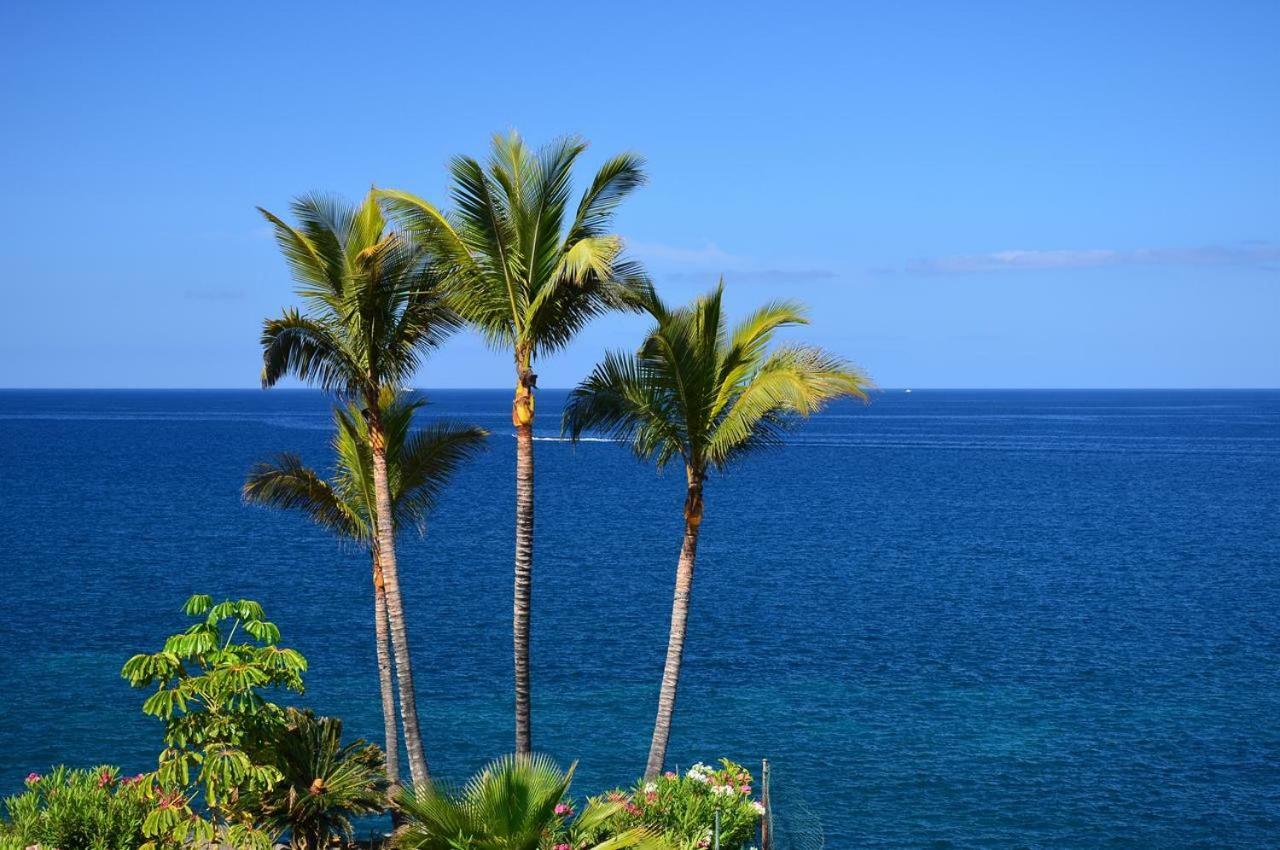Relax Tropical Las Americas - Tenesol Rentals 플라야데라스아메리카스 외부 사진